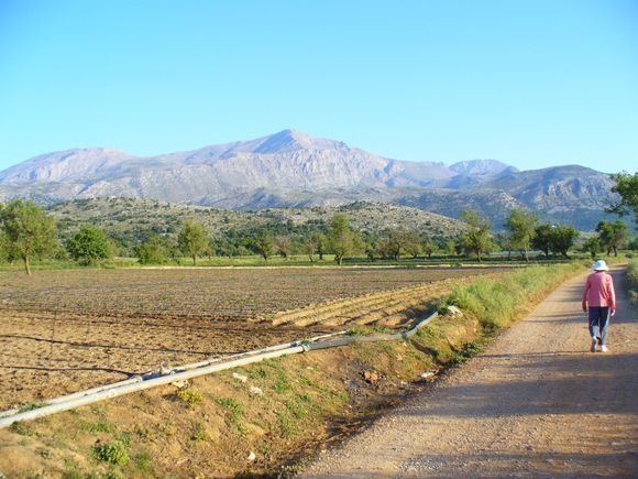 Lasithi plateau between Tzermiado and Agios Georgios