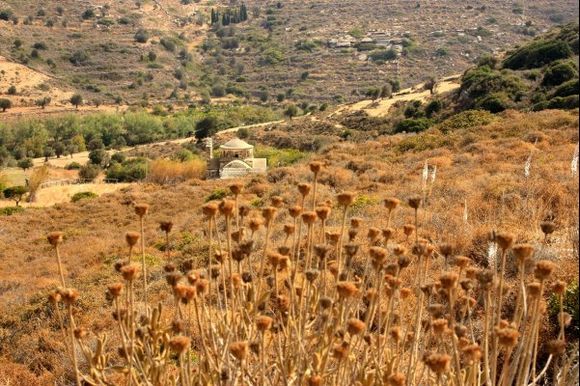 Agios Mamas