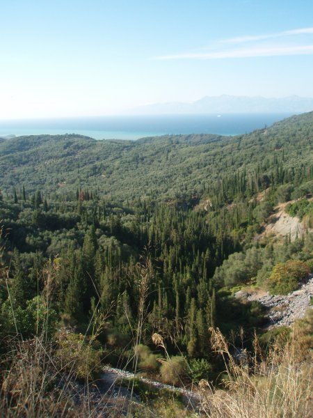 Corfu forests