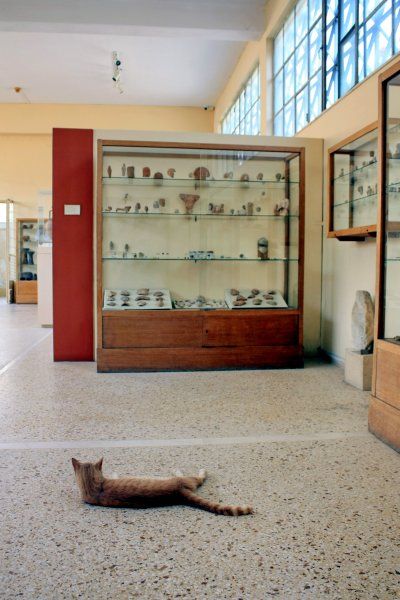 Guide at the archeological museum.