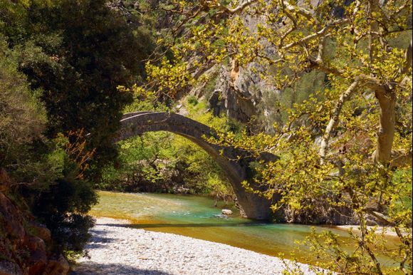 Magical environment - spring 2022
Artotiva Bridge - River Evinos, Aetolia