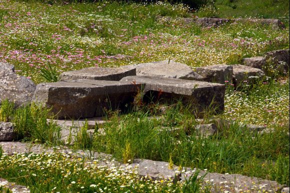 Flowers rock
Aetolia - Ancient Thermo