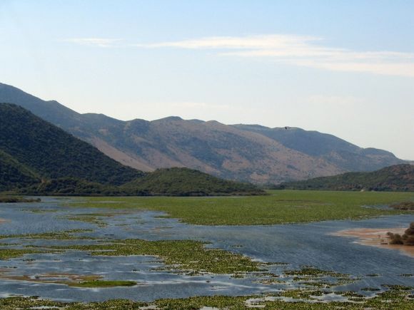 Bog near Parga