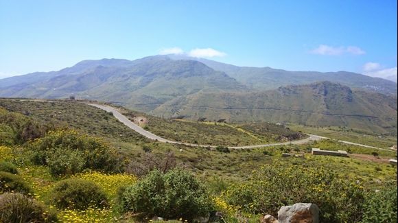 The hills of central Crete adorned with wild flowers