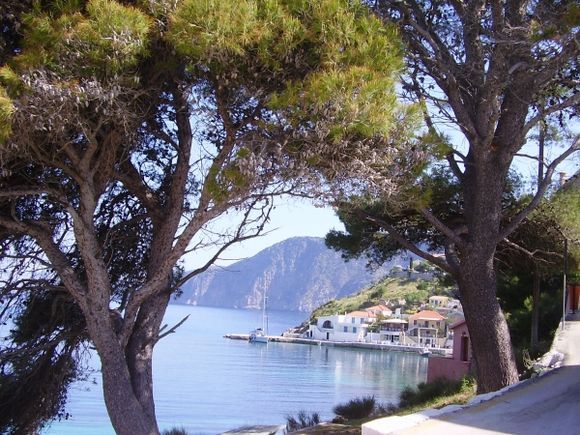 Looking towards the village of Assos, through the trees