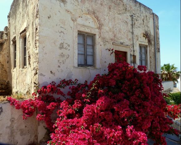 Decayed house covered with red bougainvillea in the Kastro
