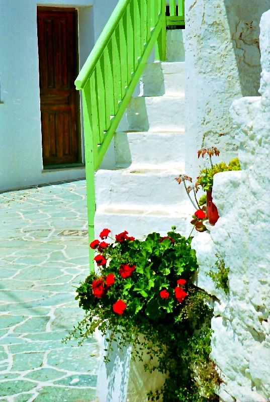 Lane, stairs and pot of flowers. Kastro, Chora