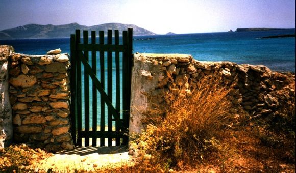 Green wooden gate and sea