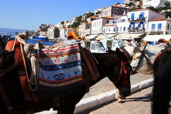 Donkey\'s harness and architecture. Waterfront, Hydra town