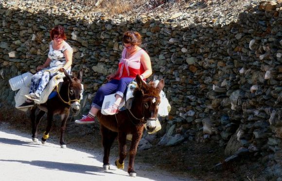 Women riding donkeys