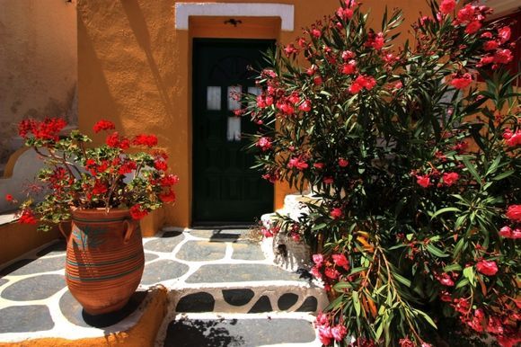 Pretty entrance with vivid flowers, Iouli