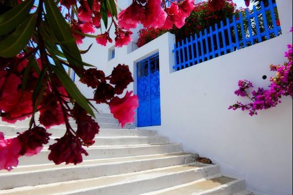 Stepped alley with bougainvillea