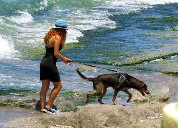 Walking the dog along Rodos town beach
