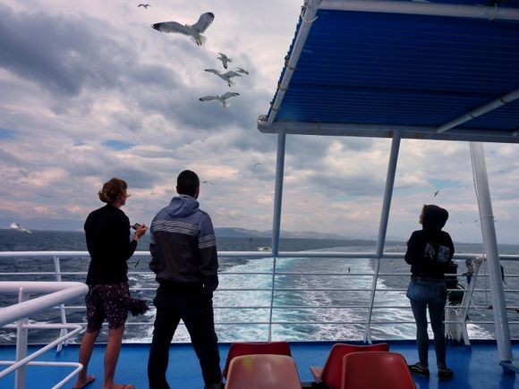 Flight of seagulls and passengers on board ferry to Aegina island
