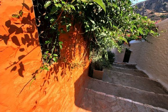 Staircased alleyway with vivid orange wall and foliage, Hydra town