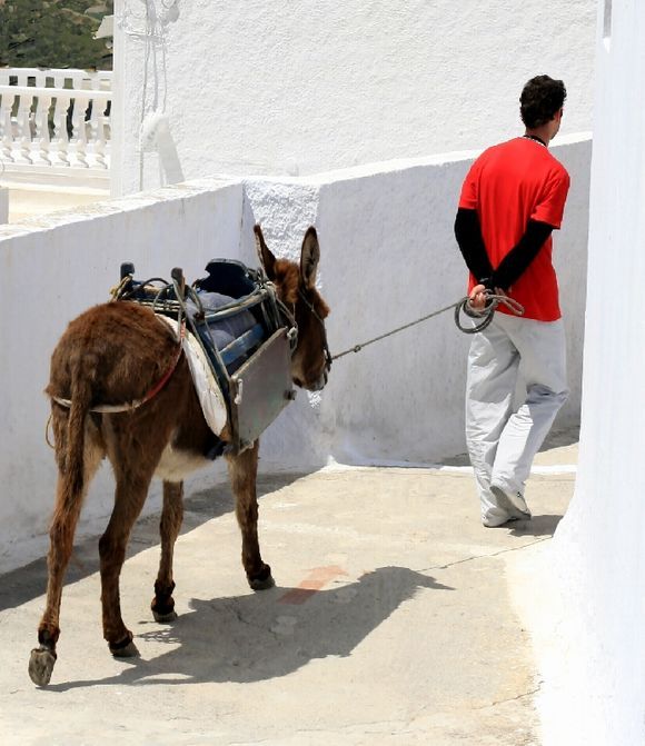 Man walking a donkey in a Pyrgos street