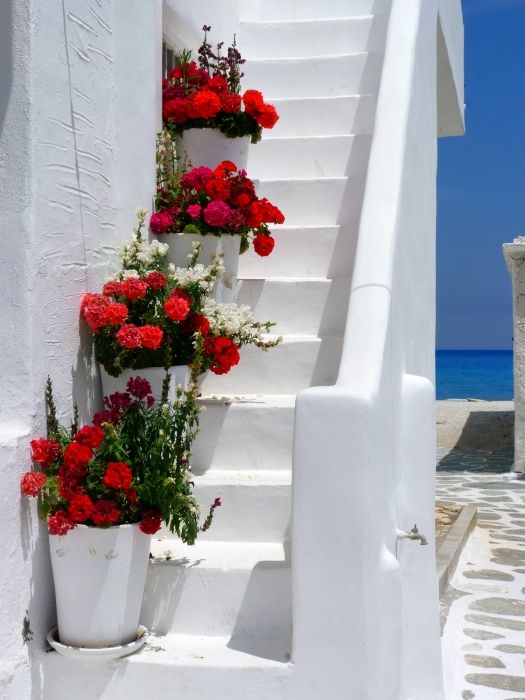 White steps flowers and seaview