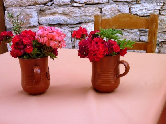 Pots of flowers, table and chair