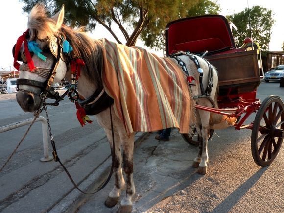 Traditional Aegina donkey and carriage