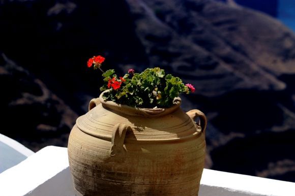 Pot of geranium and caldeira view