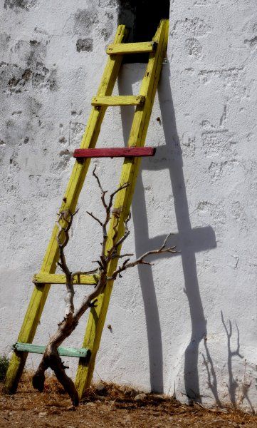 Rural yellow ladder