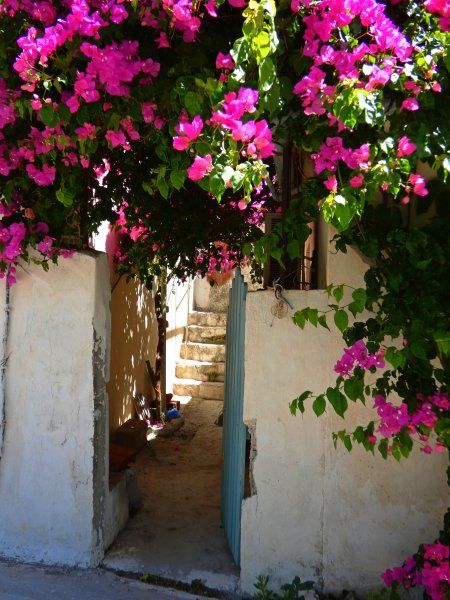 Entrance with pink bougainvillea
