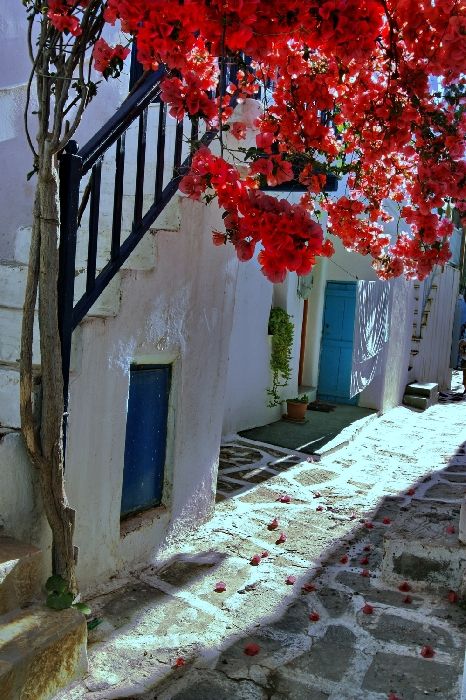 Narrow lane with bougainvillea, Naoussa