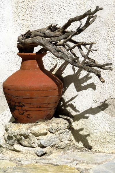 Pot with dry branches