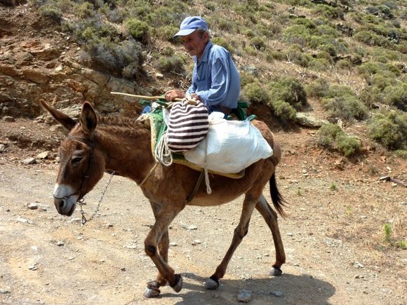 Old man riding a donkey