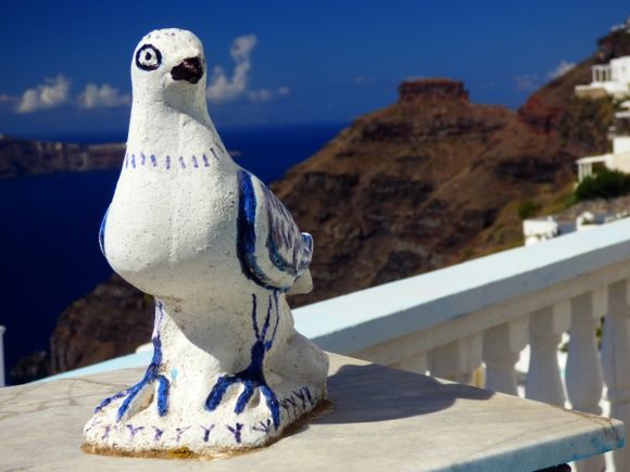 Blue bird overlooking caldeira
