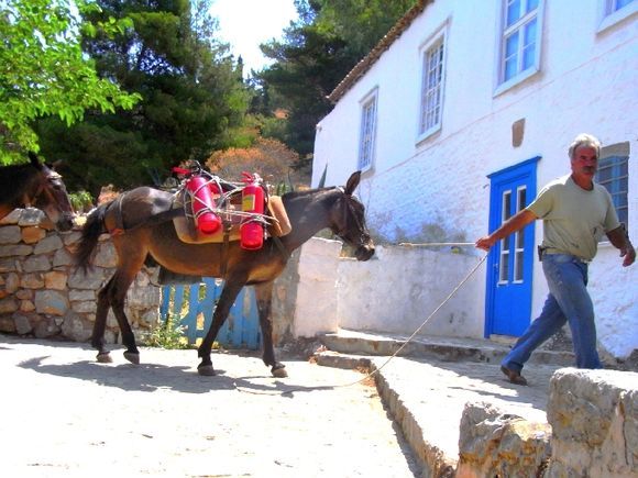 Man pulling a loaded donkey, Kaminia