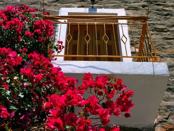 Balcony with red bougainvillea