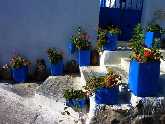 Steps and blue pots