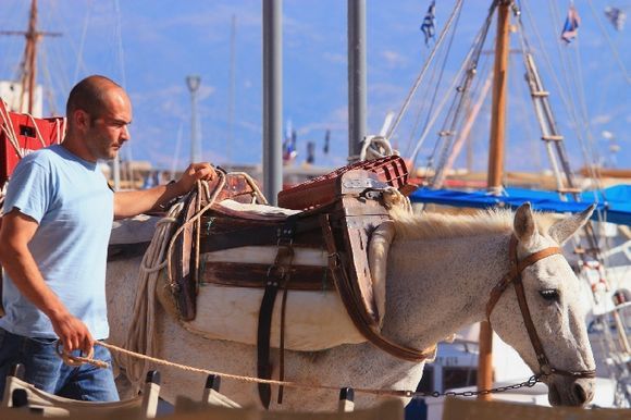 Man walking his donkey at Hydra town harbour