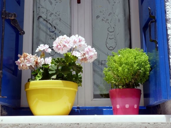 Colorful pots at window