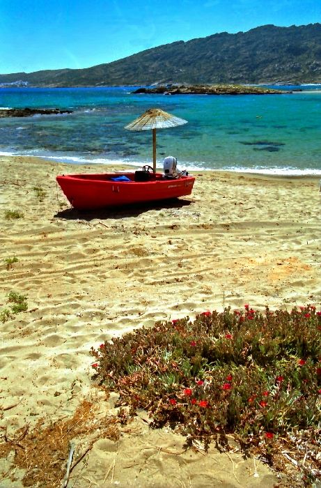 Red boat and wild flowers on Manganari beach