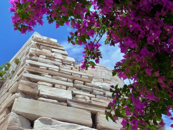 Ancient wall and bougainvillea