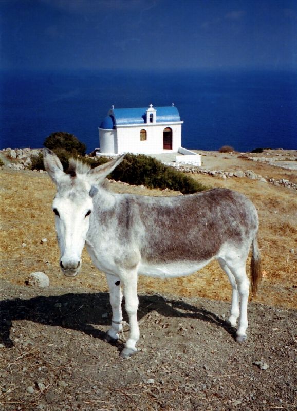 Donkey and church, Mesohori