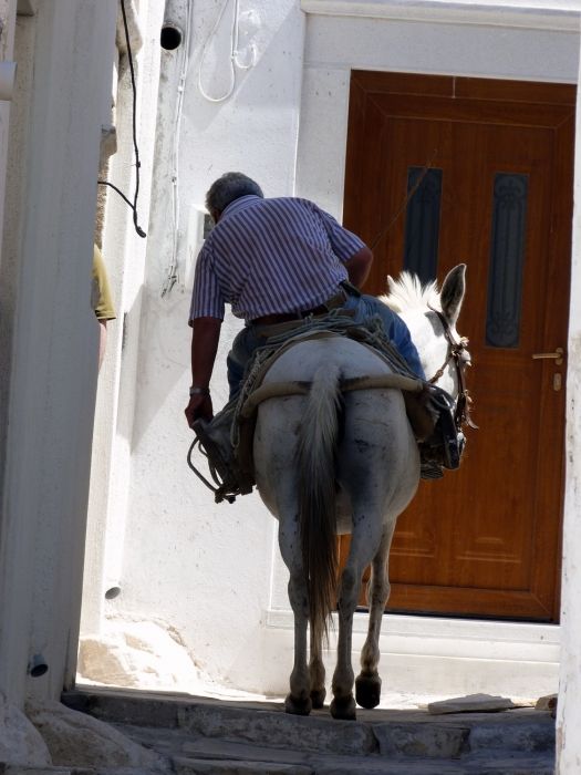 Back view of a man riding a donkey in a narrow alley