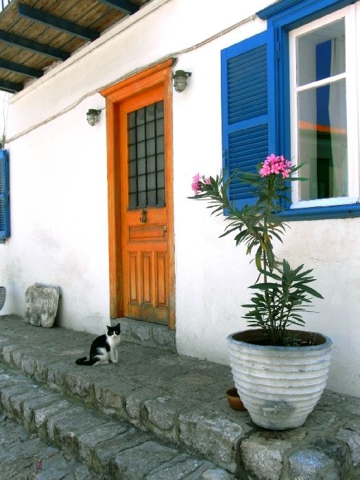 House entrance with cat