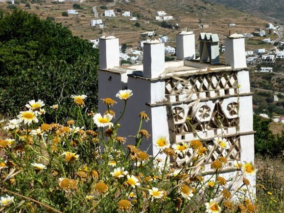 Dovecote and daisies in Tinos countryside