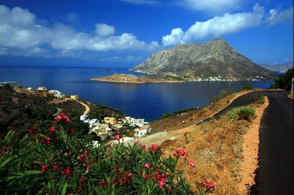 Myrties on Kalymnos island and Telendos island