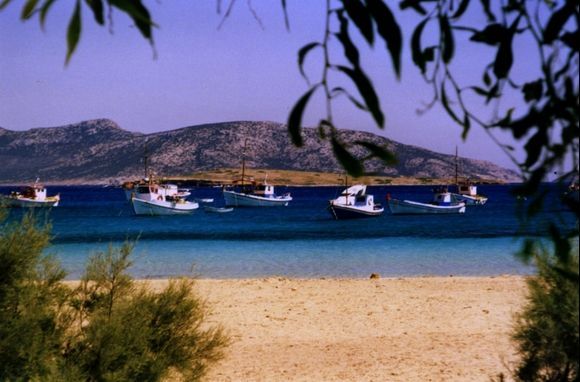 Beach and boats