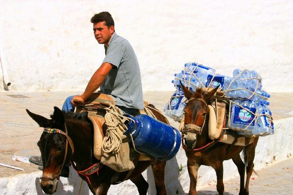 Loaded donkeys with their guide carrying mineral water and other