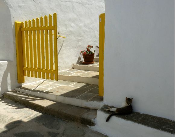 Yellow gate with cat and pot, Artemonas