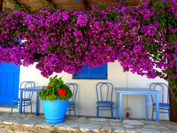 Taverna with colorful flowers, Drios 