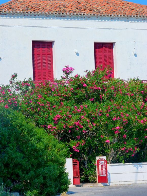 Facade with red windows and gate and oleander