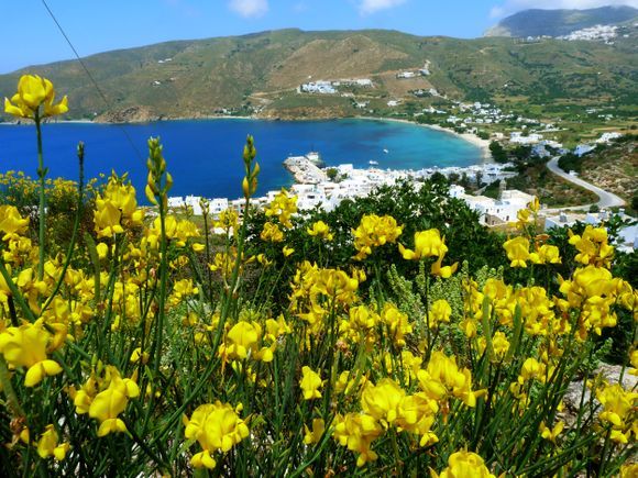 Aegiali Bay with spring flowers, Amorgos island