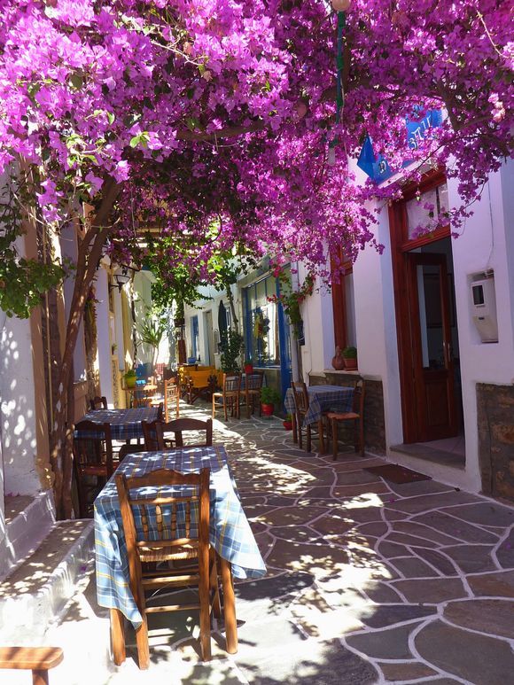 Main Street with blossoms and tavernas, Chora