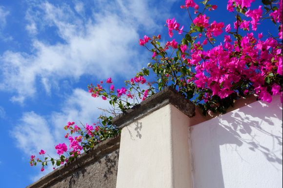 Sky  and bougainvillea, Megalohori